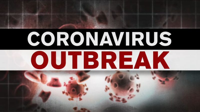 esd_application_wuhan_hubei_coronavirus-outbreak